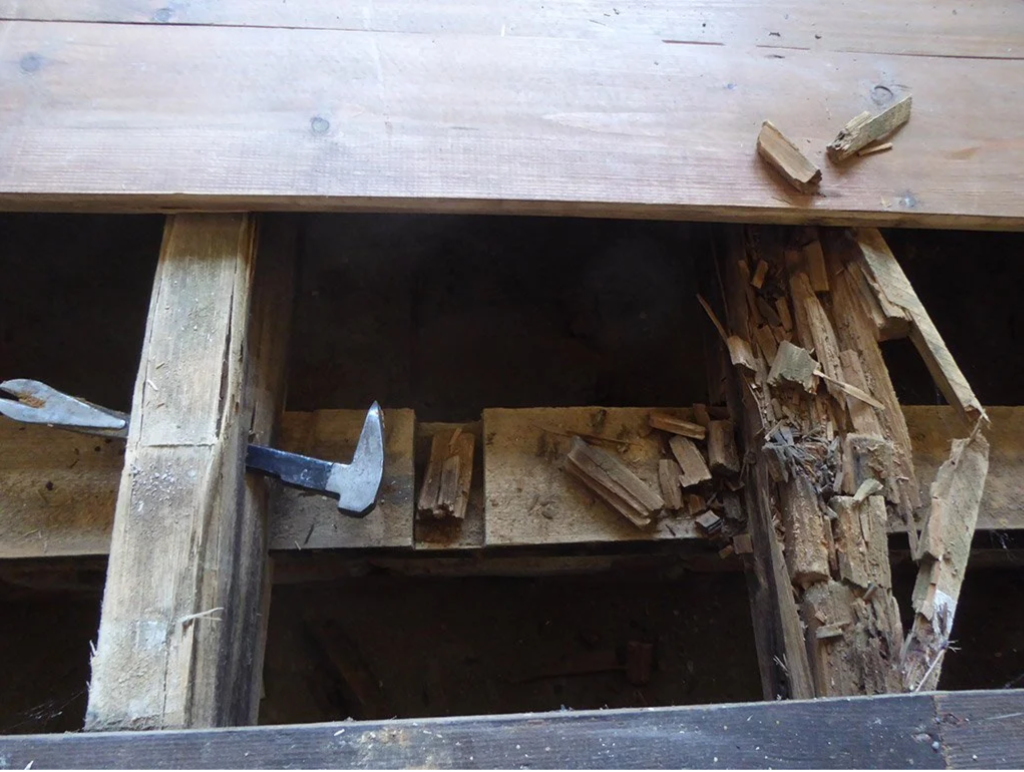 Damp and Timber Surveys: Protecting Your Property from Hidden Dangers