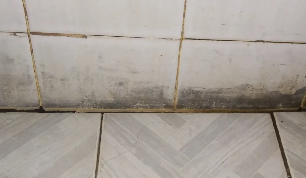 Awaabs Law black mould on a wall in a rented home